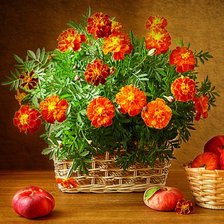 Схема вышивки «Чорнобривці»