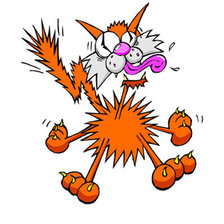 Схема вышивки «кот»