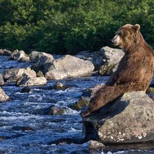 Схема вышивки «медитация»