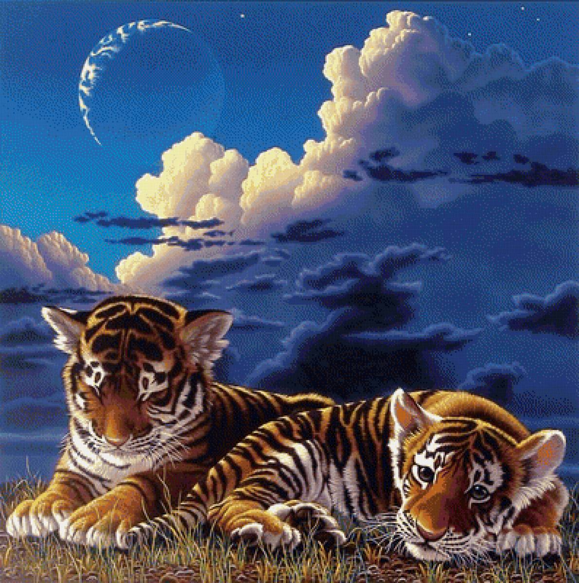 мир животных - предпросмотр