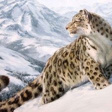 Схема вышивки «барс»