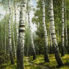 Схема вышивки «Берёзки»