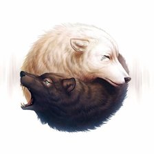 Схема вышивки «Волки инь  ян»