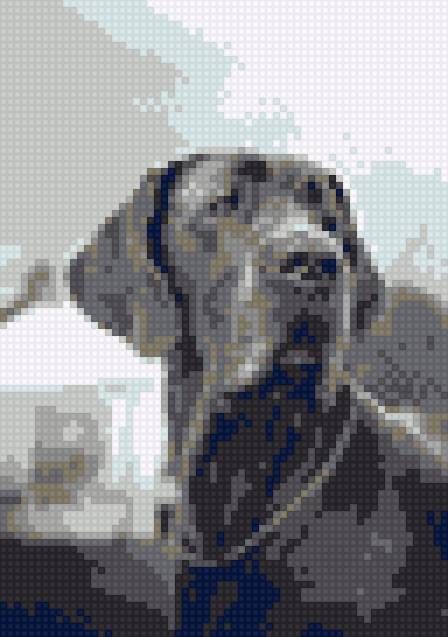 Моя Рша - предпросмотр