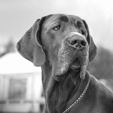 Схема вышивки «Моя Рша»