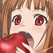 Схема вышивки «Холо»