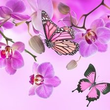 Схема вышивки «орхидеи»