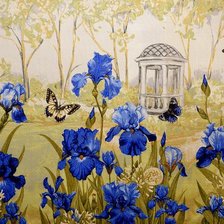 бабочки  в ирисах