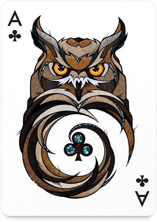 cова - птицы, карты, сова - оригинал