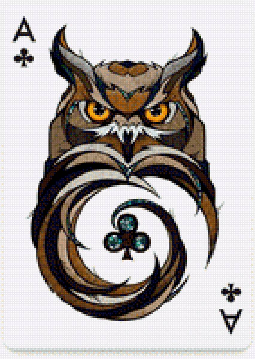 cова - сова, птицы, карты - предпросмотр