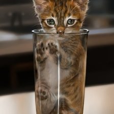 Схема вышивки «Устроился»