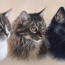 Схема вышивки «№1394987»