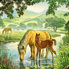 Схема вышивки «летним днём»