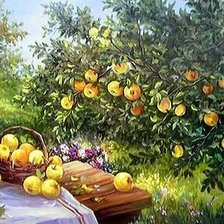 Яблоневый сад