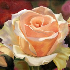 Схема вышивки «Роза»