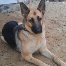 Схема вышивки «№1395356»