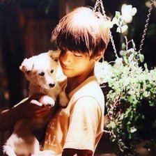 Схема вышивки «Техен»