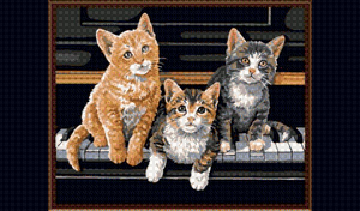 Котята - животные, кошки - предпросмотр