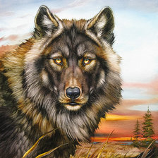 Схема вышивки «Волк»