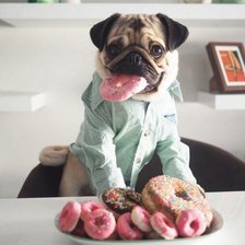 Схема вышивки «Мопс»