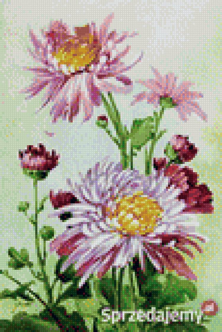 Астры - цветы, вышивка крестом, астры - предпросмотр