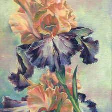 Схема вышивки «ирис»