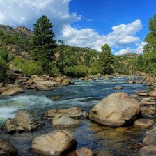 Схема вышивки «природа»