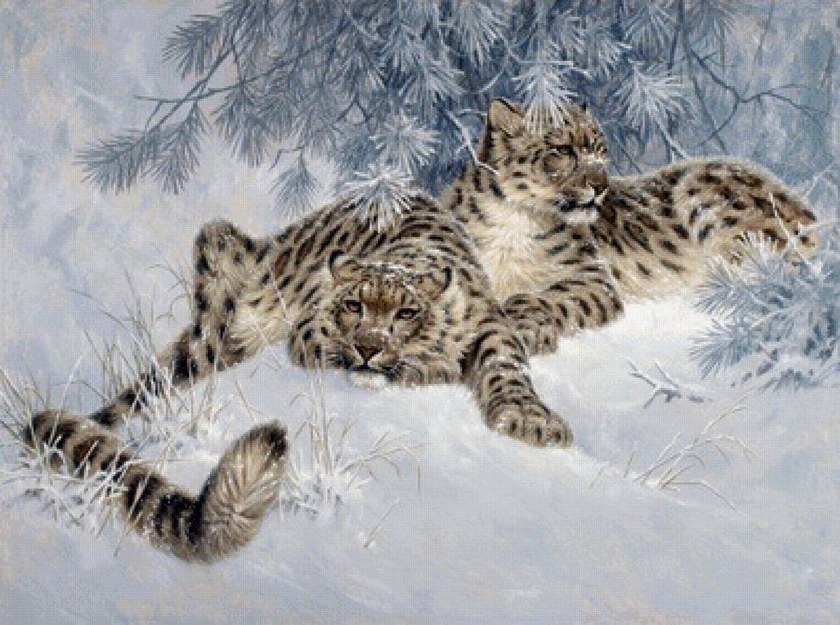 снежные барсы - зима, сосны, барсы - предпросмотр