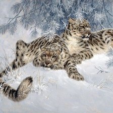 Схема вышивки «снежные барсы»