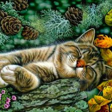 Схема вышивки «кот»