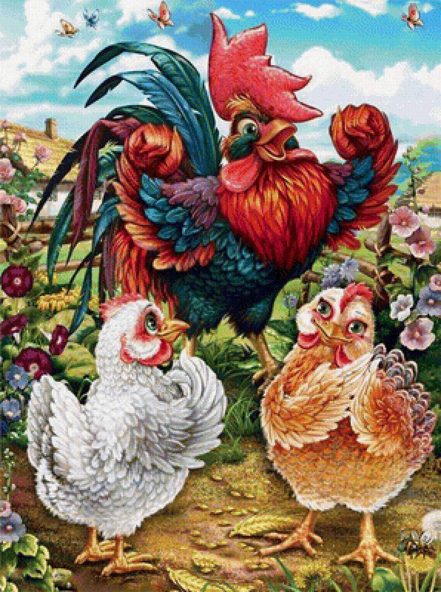 петух - птицы, петух - предпросмотр