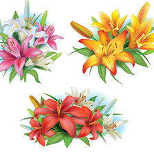 Схема вышивки «цветы»