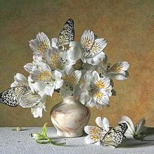 Схема вышивки «633»