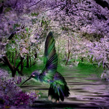 Схема вышивки «колибри»