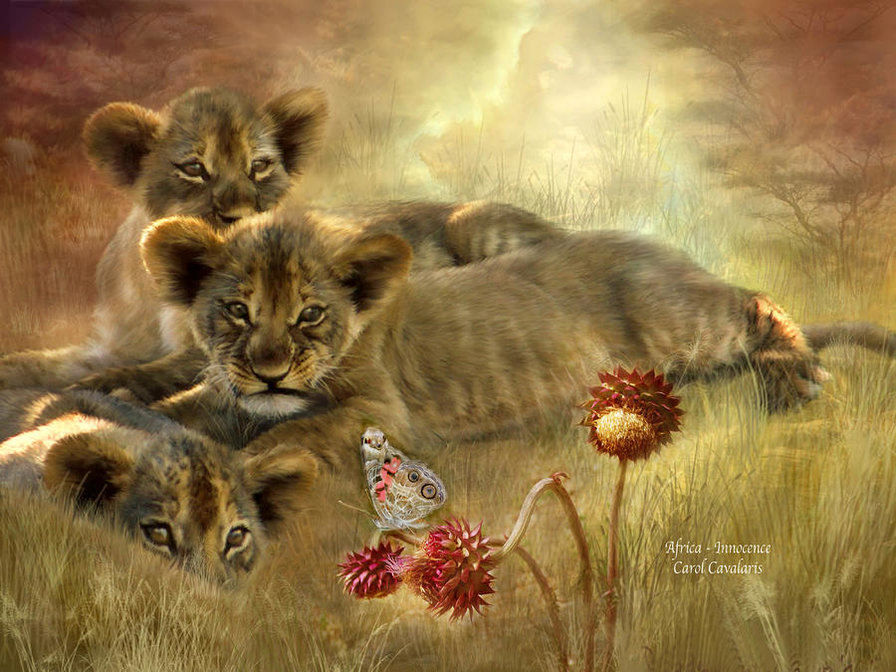 львята - животные, хищник, картина - оригинал
