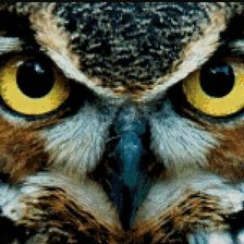 Схема вышивки «Совп»