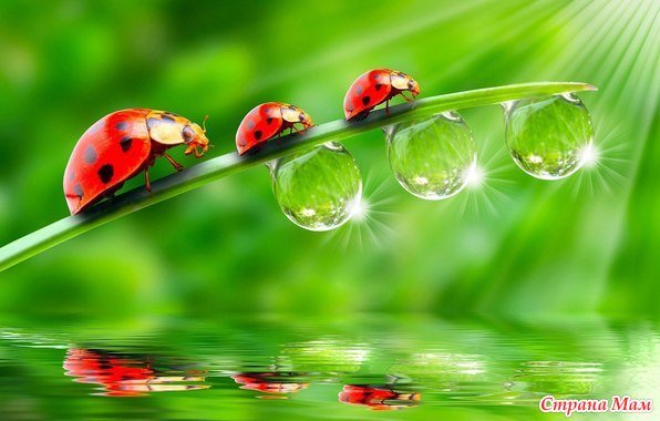 №1398692 - оригинал