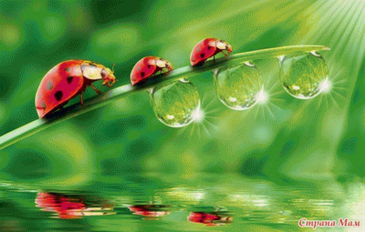 №1398692 - предпросмотр