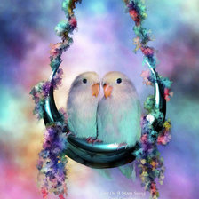 попугаи2 К.Каваларис