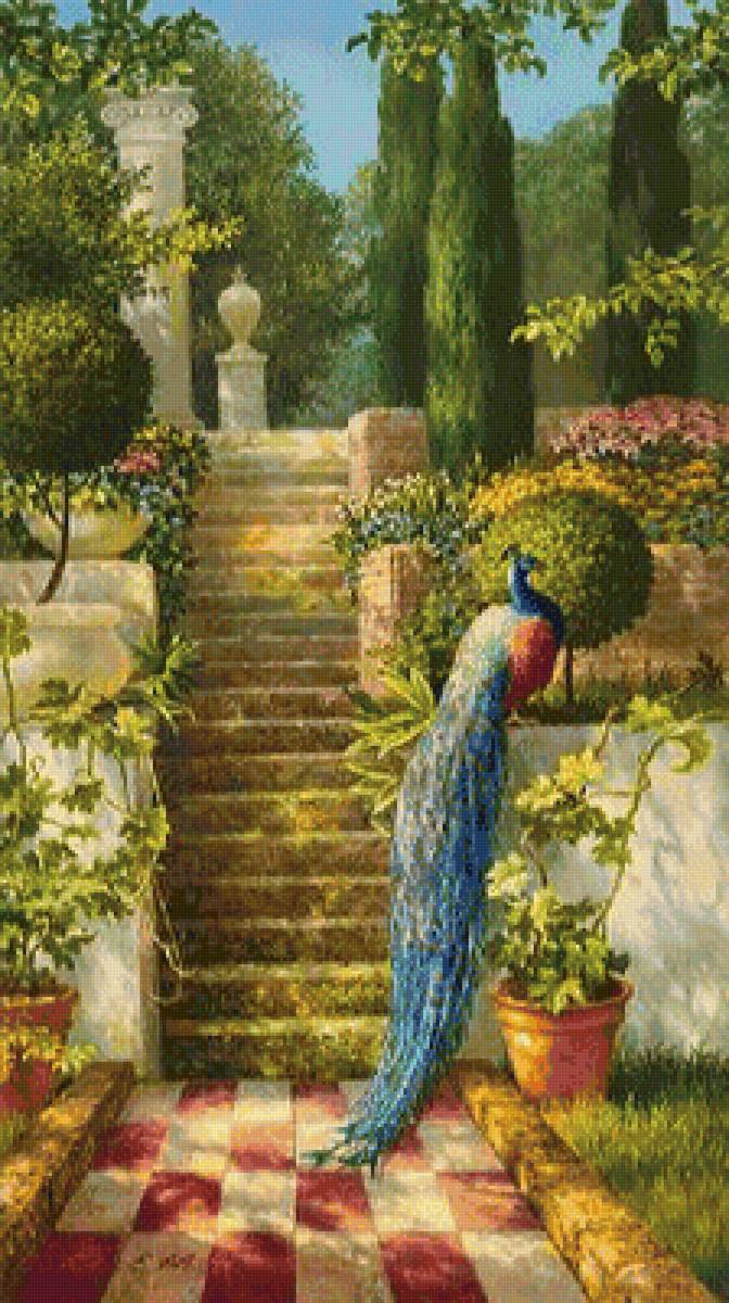 Павлин - природа, павлин, живопись, картина, птицы - предпросмотр