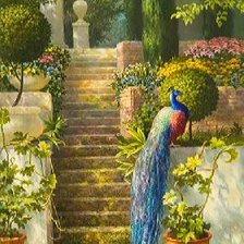 Схема вышивки «Павлин»