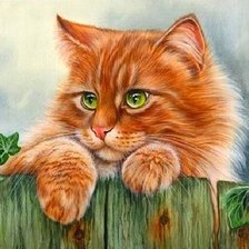 Схема вышивки «рыжий кот»