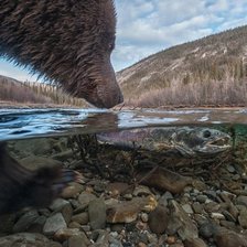 Схема вышивки «№1399319»