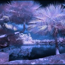 Схема вышивки «красота мира»