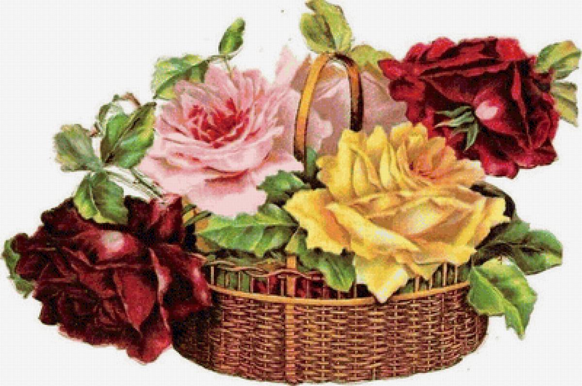 корзина роз - цветы, роза, розы, красота - предпросмотр