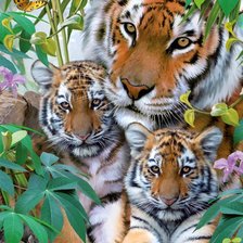 Схема вышивки «№1399854»