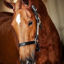 Схема вышивки «ГРАЦИЯ И КРАСОТА»