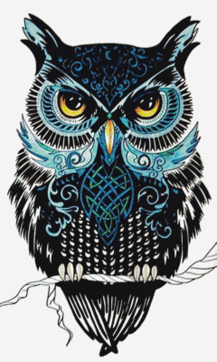 Серия "Пташка" - взгляд, сова, филин, птица - предпросмотр