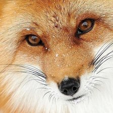 Схема вышивки «№1400124»