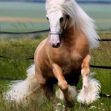 Схема вышивки «№1400125»